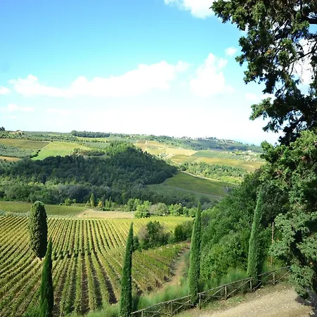 Cosy In Tuscany With Shared Swimming Pool