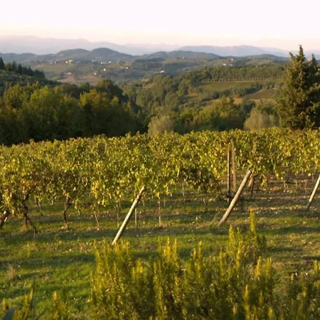 度假居 Cosy In Tuscany With Shared Swimming Pool 瓦尔的圣卡西亚诺