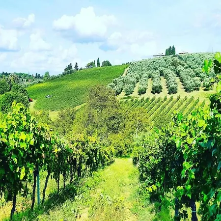 度假居 Cosy In Tuscany With Shared Swimming Pool