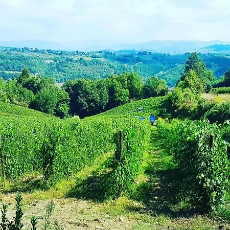 Cosy In Tuscany With Shared Swimming Pool 度假居 瓦尔的圣卡西亚诺