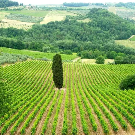 Cosy In Tuscany With Shared Swimming Pool 度假居 *